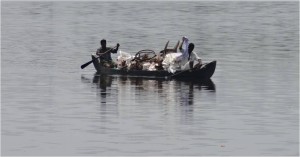Inde Backwaters canoë houseboat ou bateau touristique3