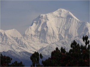 Népal Poon Hill montagnes 4