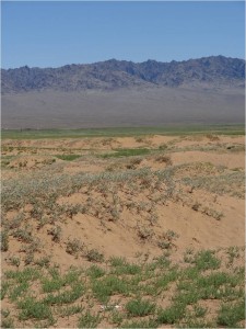 Mongolie désert Gobi 2