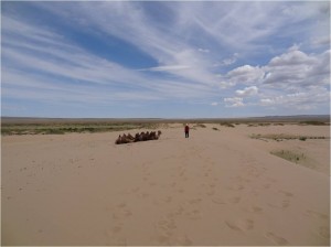 Mongolie désert Gobi Khongoryn Els dunes 3