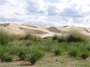 Mongolie désert Gobi Khongoryn Els dunes 4