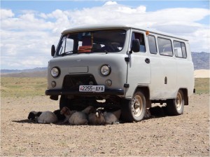 Mongolie désert Gobi van