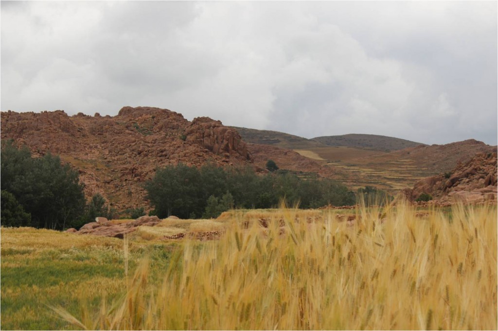 Maroc-Berbère-paysage2